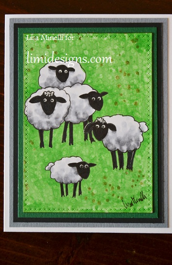 sheep1